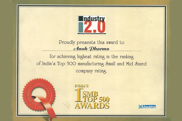 India's 1st Top SMB 500 Award