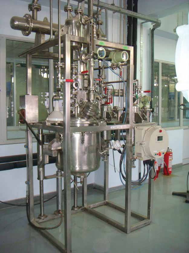 Pilot plant reactor